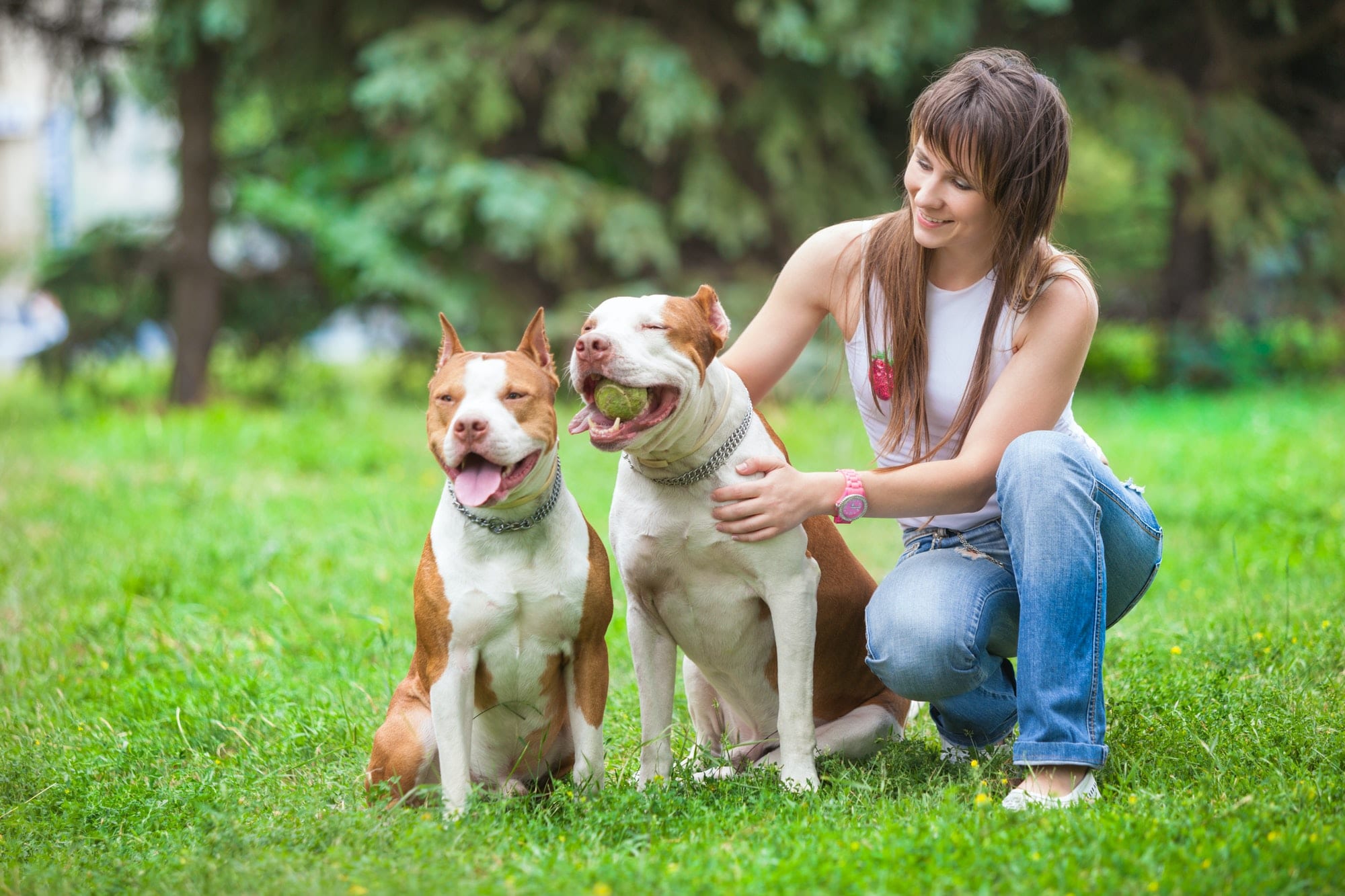 Charming lady posing with dogs outdoors